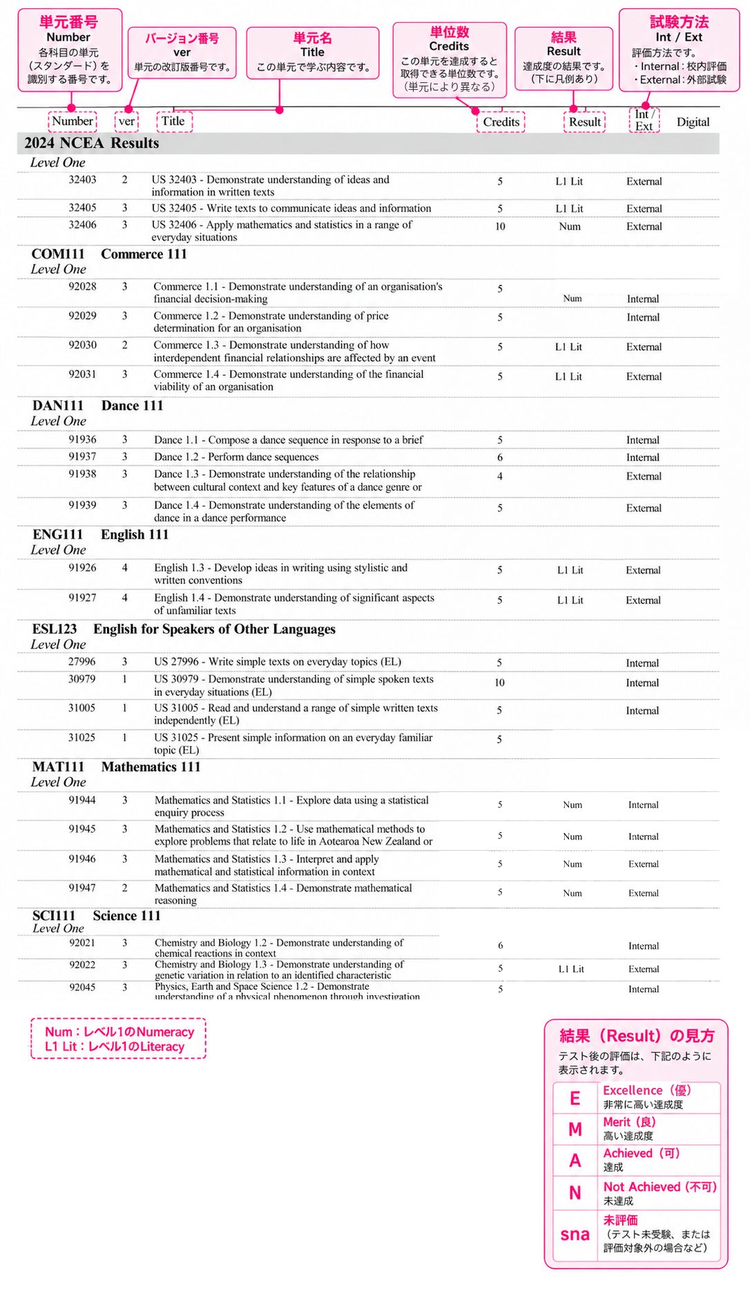 NZQA Entries の記入例(個人情報は削除済み)